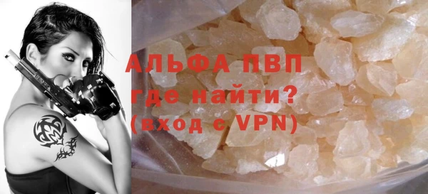 индика Арсеньев