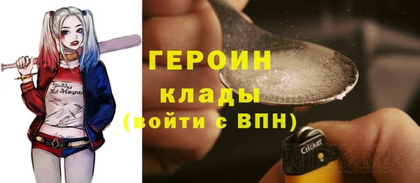 индика Арсеньев