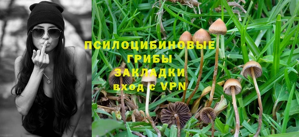 прущий лед Аркадак