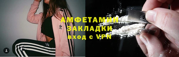 индика Арсеньев