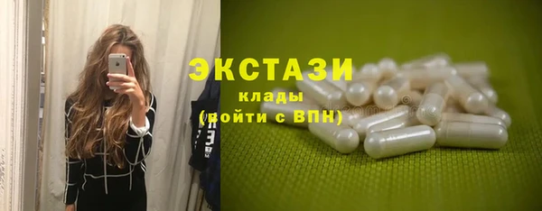 индика Арсеньев