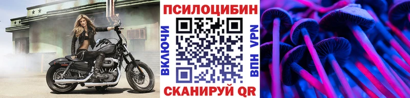 kraken маркетплейс  купить наркотики сайты  Рудня  Галлюциногенные грибы Cubensis 